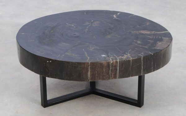 Coffee table petrified wood 49207