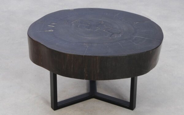Coffee table petrified wood 49209
