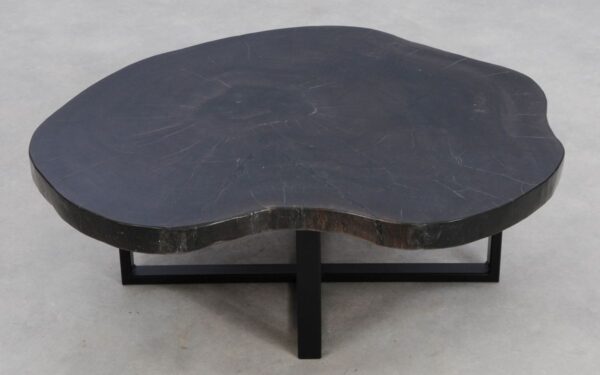 Coffee table petrified wood 49215