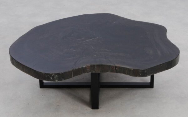 Coffee table petrified wood 49216