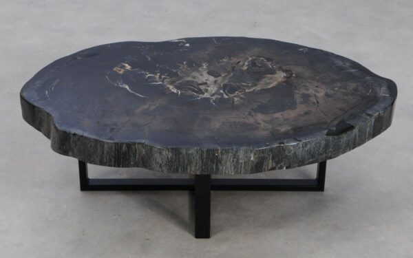Coffee table petrified wood 49218