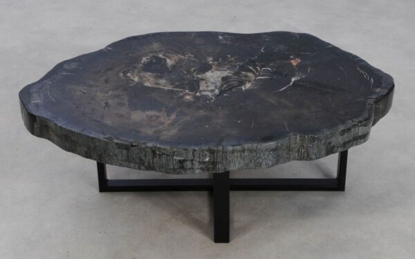 Coffee table petrified wood 49219