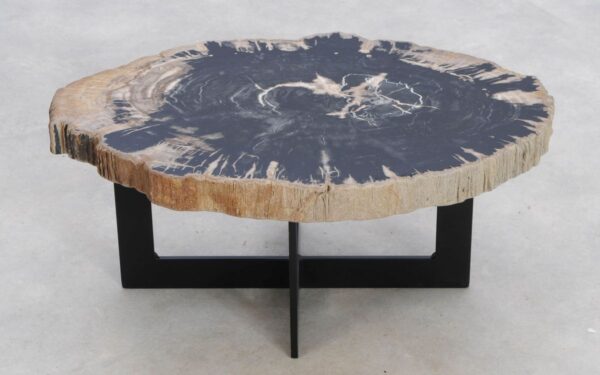 Coffee table petrified wood 49222