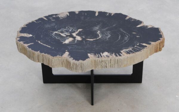 Coffee table petrified wood 49223