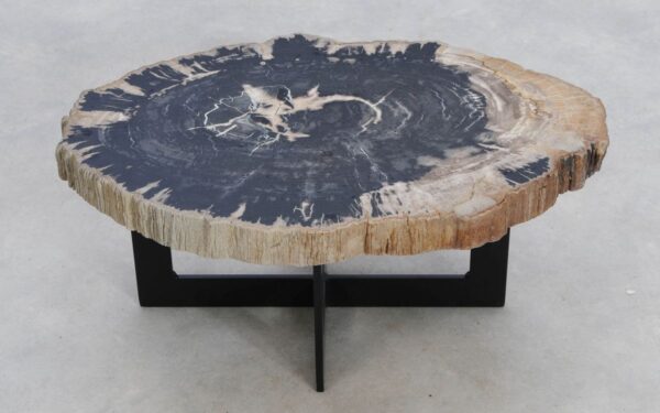 Coffee table petrified wood 49224