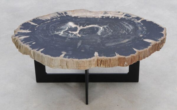 Coffee table petrified wood 49225