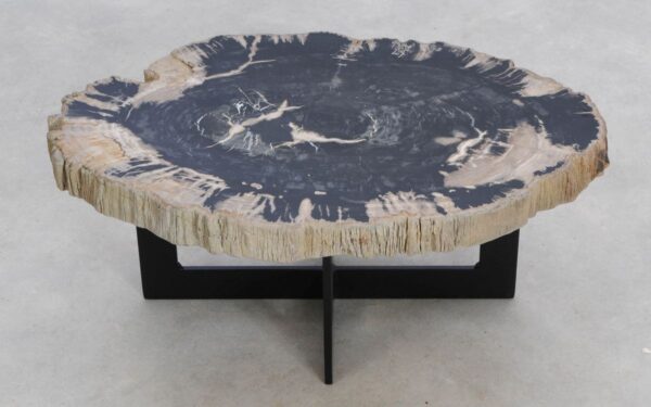 Coffee table petrified wood 49226