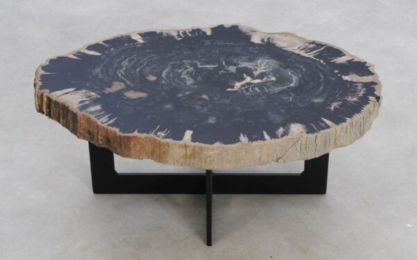 Coffee table petrified wood 49227