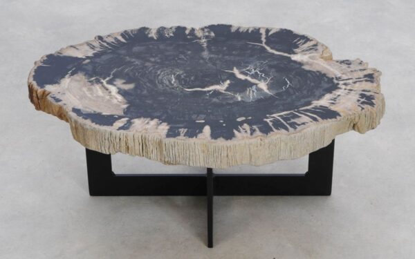Coffee table petrified wood 49228