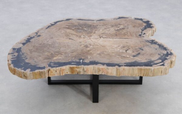 Coffee table petrified wood 49238