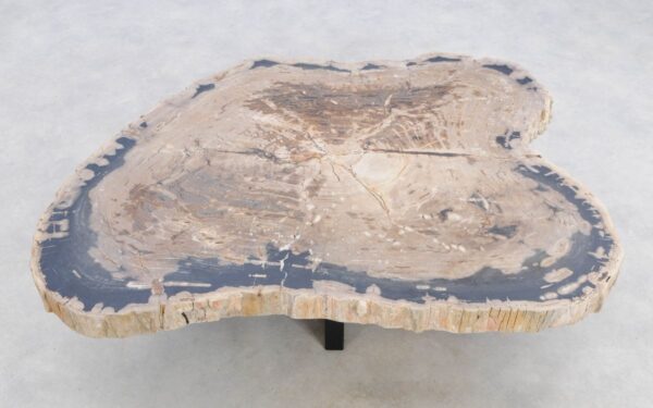 Coffee table petrified wood 49239