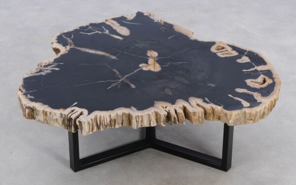 Coffee table petrified wood 49246