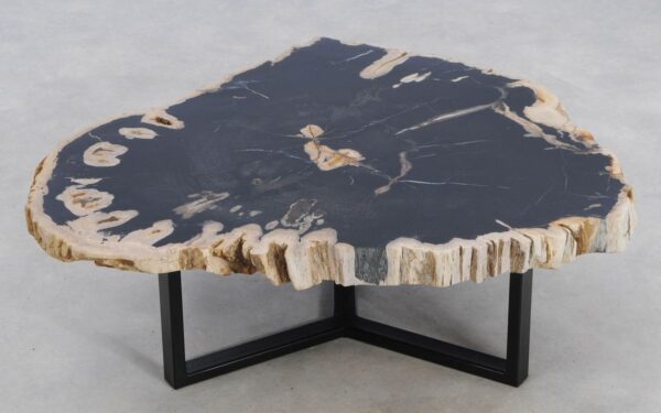 Coffee table petrified wood 49247