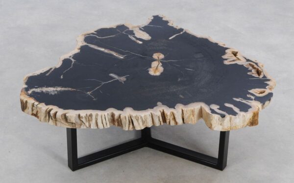 Coffee table petrified wood 49248