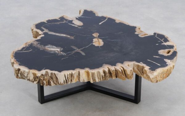 Coffee table petrified wood 49249