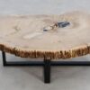 Coffee table petrified wood 49253