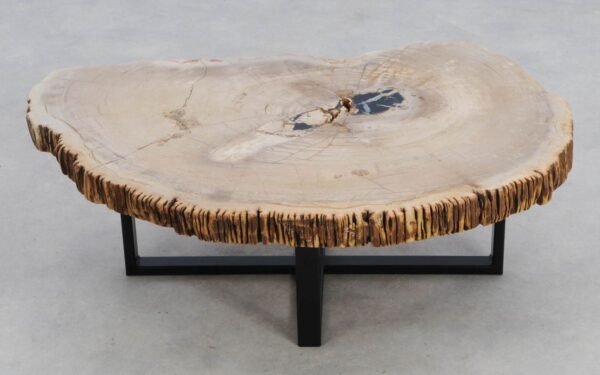 Coffee table petrified wood 49253