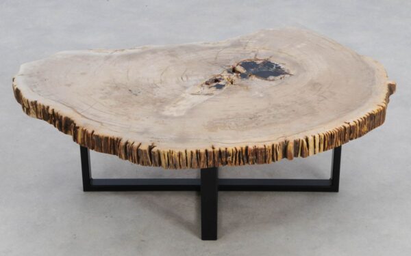 Coffee table petrified wood 49254