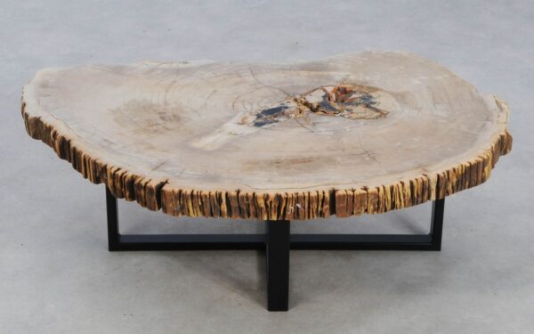 Coffee table petrified wood 49255