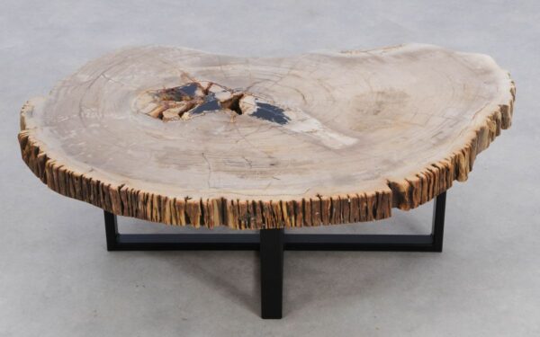 Coffee table petrified wood 49256