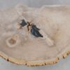 Coffee table petrified wood 49258