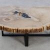 Coffee table petrified wood 49258
