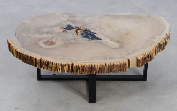 Coffee table petrified wood 49258