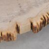 Coffee table petrified wood 49258