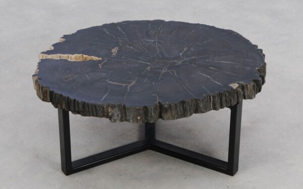 Coffee table petrified wood 49259