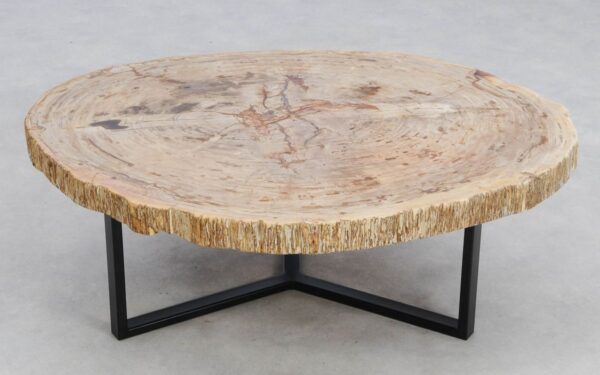 Coffee table petrified wood 49264