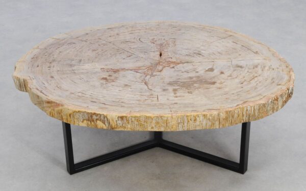 Coffee table petrified wood 49265