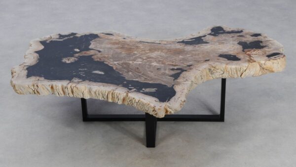 Coffee table petrified wood 49268