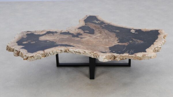 Coffee table petrified wood 49270