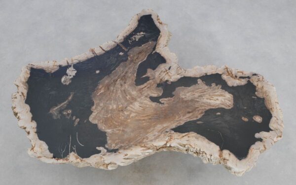 Coffee table petrified wood 49271
