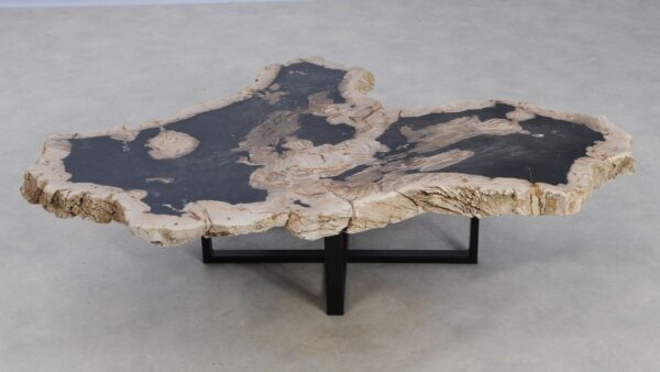 Coffee table petrified wood 49272
