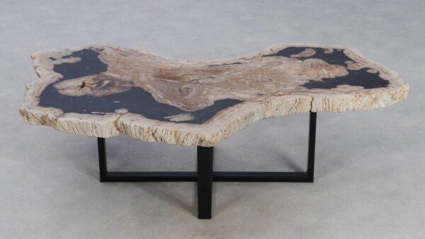 Coffee table petrified wood 49273