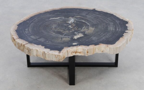 Coffee table petrified wood 49280