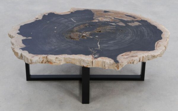 Coffee table petrified wood 49281