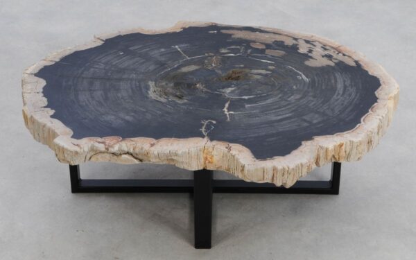 Coffee table petrified wood 49282