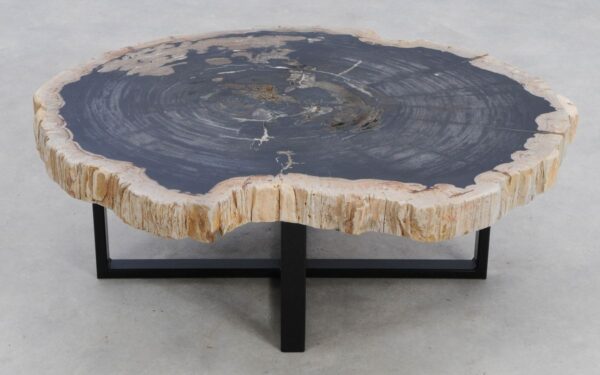 Coffee table petrified wood 49283