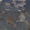 Coffee table petrified wood 49283