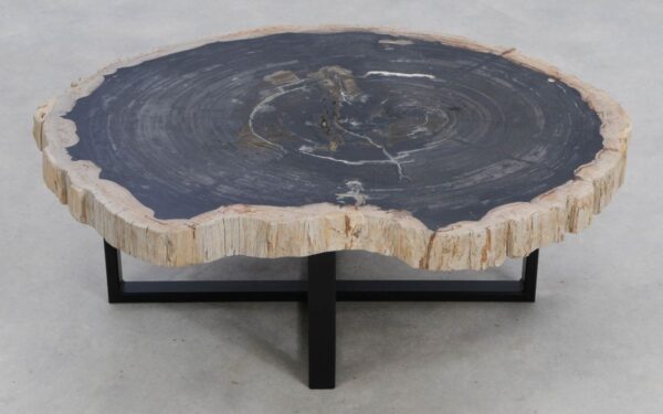 Coffee table petrified wood 49285