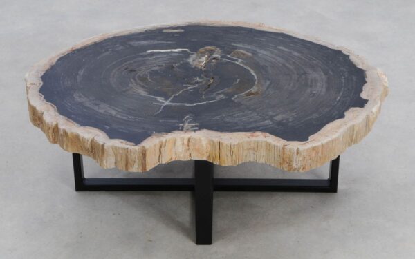 Coffee table petrified wood 49286