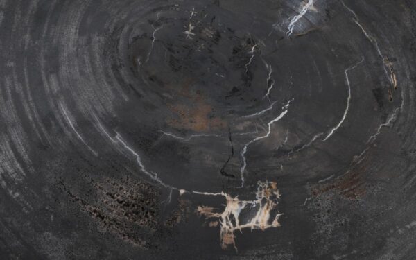 Coffee table petrified wood 49289