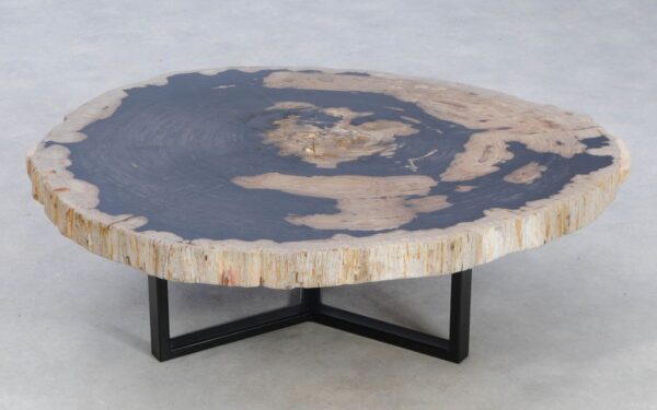 Coffee table petrified wood 49291