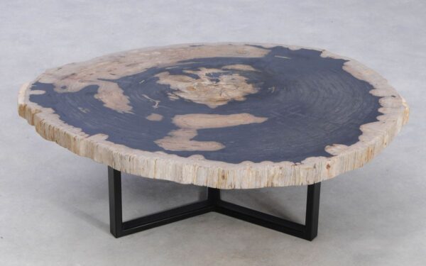 Coffee table petrified wood 49292