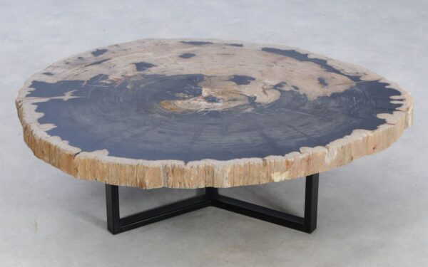 Coffee table petrified wood 49293