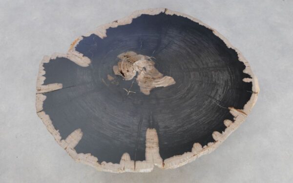 Coffee table petrified wood 49296