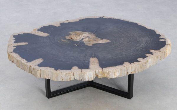 Coffee table petrified wood 49296