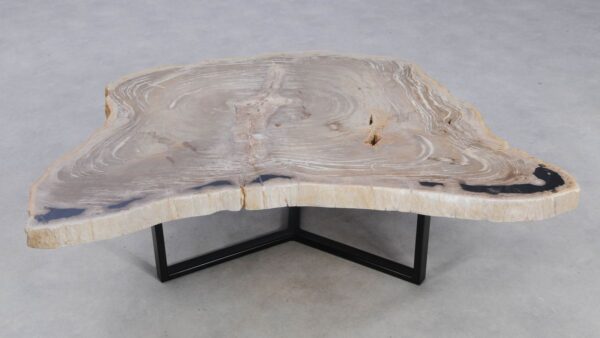 Coffee table petrified wood 49297